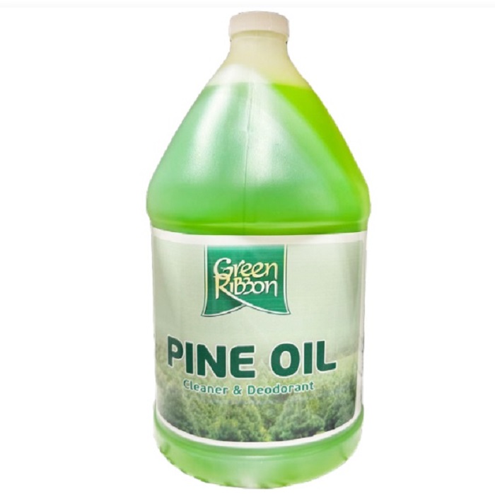 6004